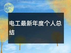 電工最新年度個人總結(jié)