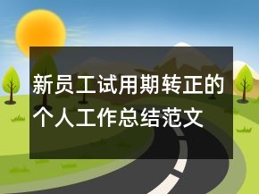 新員工試用期轉(zhuǎn)正的個人工作總結(jié)范文