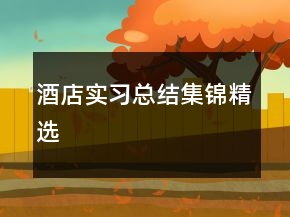 酒店實習(xí)總結(jié)集錦精選