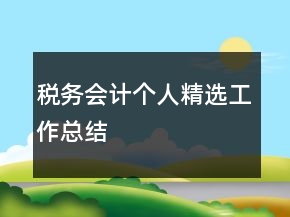 稅務會計個人精選工作總結