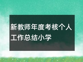 新教師年度考核個(gè)人工作總結(jié)小學(xué)