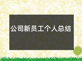公司新員工個人總結(jié)
