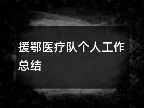 援鄂醫(yī)療隊個人工作總結(jié)