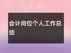 會(huì)計(jì)崗位個(gè)人工作總結(jié)