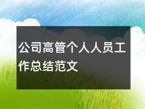 公司高管個人人員工作總結(jié)范文
