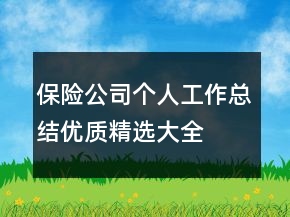 保險公司個人工作總結(jié)優(yōu)質(zhì)精選大全