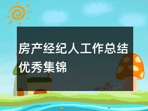 房產(chǎn)經(jīng)紀(jì)人工作總結(jié)優(yōu)秀集錦