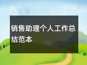 銷售助理個(gè)人工作總結(jié)范本
