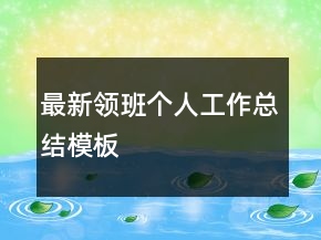 最新領(lǐng)班個(gè)人工作總結(jié)模板