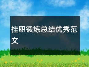 掛職鍛煉總結優(yōu)秀范文