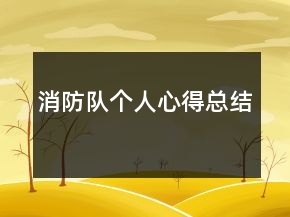 消防隊個人心得總結