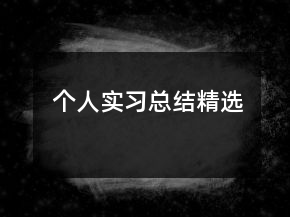 個人實習總結(jié)精選