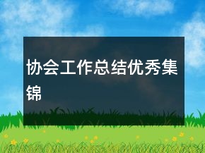 協(xié)會(huì)工作總結(jié)優(yōu)秀集錦