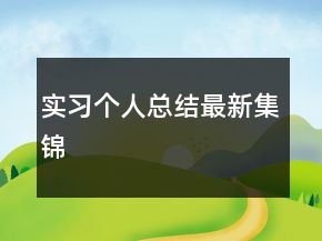 實習個人總結最新集錦