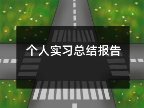 個人實習總結(jié)報告