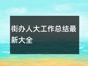 街辦人大工作總結(jié)最新大全