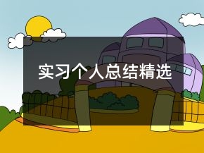 實(shí)習(xí)個(gè)人總結(jié)精選