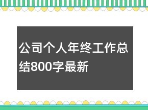 公司個(gè)人年終工作總結(jié)800字最新