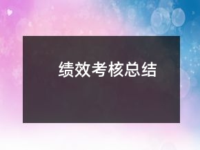 績效考核總結(jié)