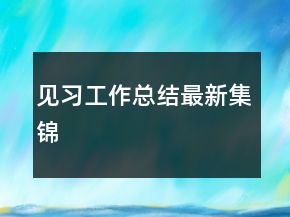 見習工作總結(jié)最新集錦