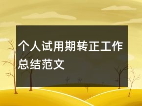 個人試用期轉(zhuǎn)正工作總結(jié)范文