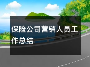 保險(xiǎn)公司營銷人員工作總結(jié)