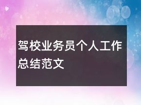 駕校業(yè)務(wù)員個人工作總結(jié)范文