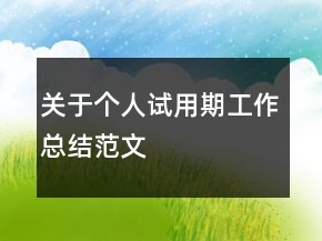 關于個人試用期工作總結范文