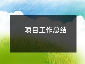 項(xiàng)目工作總結(jié)