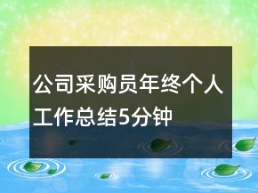 公司采購(gòu)員年終個(gè)人工作總結(jié)5分鐘