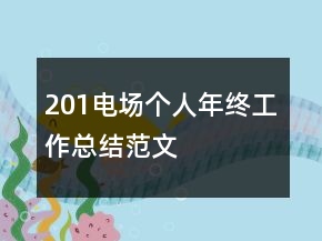 201電場個(gè)人年終工作總結(jié)范文