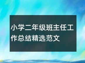小學(xué)二年級班主任工作總結(jié)精選范文