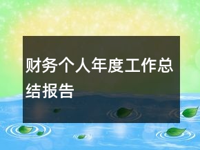 財務(wù)個人年度工作總結(jié)報告