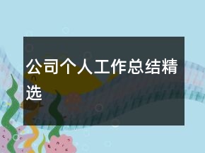 公司個(gè)人工作總結(jié)精選