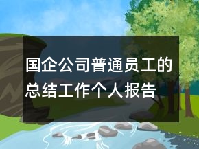 國企公司普通員工的總結(jié)工作個人報告