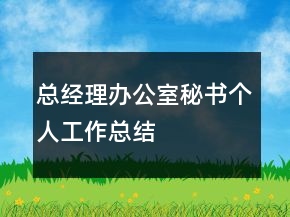 總經(jīng)理辦公室秘書個人工作總結(jié)