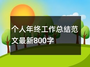 個(gè)人年終工作總結(jié)范文最新800字