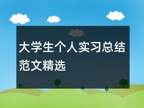 大學(xué)生個人實(shí)習(xí)總結(jié)范文精選