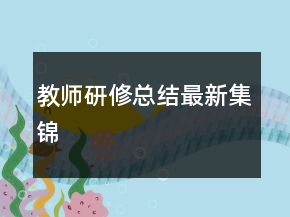 教師研修總結最新集錦