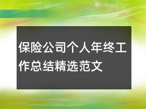 保險(xiǎn)公司個(gè)人年終工作總結(jié)精選范文