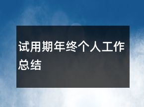 試用期年終個人工作總結(jié)