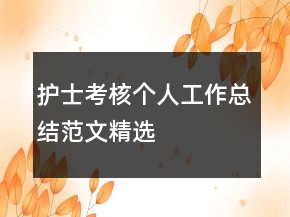 護(hù)士考核個(gè)人工作總結(jié)范文精選