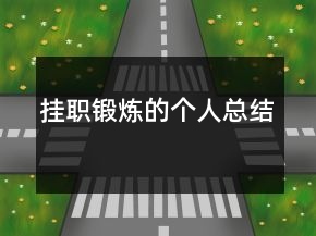 掛職鍛煉的個人總結(jié)