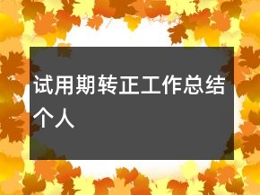 試用期轉正工作總結個人