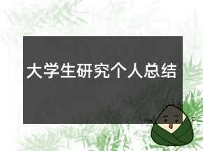 大學(xué)生研究個(gè)人總結(jié)