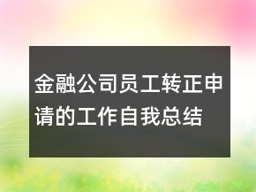 金融公司員工轉(zhuǎn)正申請的工作自我總結(jié)匯報(bào)