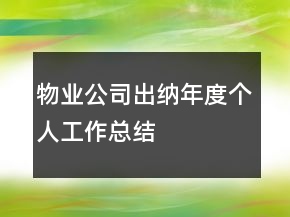 物業(yè)公司出納年度個人工作總結(jié)