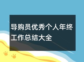 導購員優(yōu)秀個人年終工作總結大全