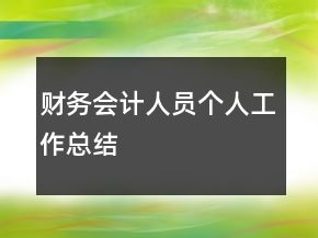 財務(wù)會計人員個人工作總結(jié)