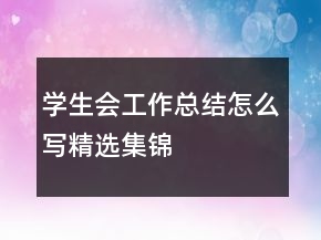 學(xué)生會工作總結(jié)怎么寫精選集錦